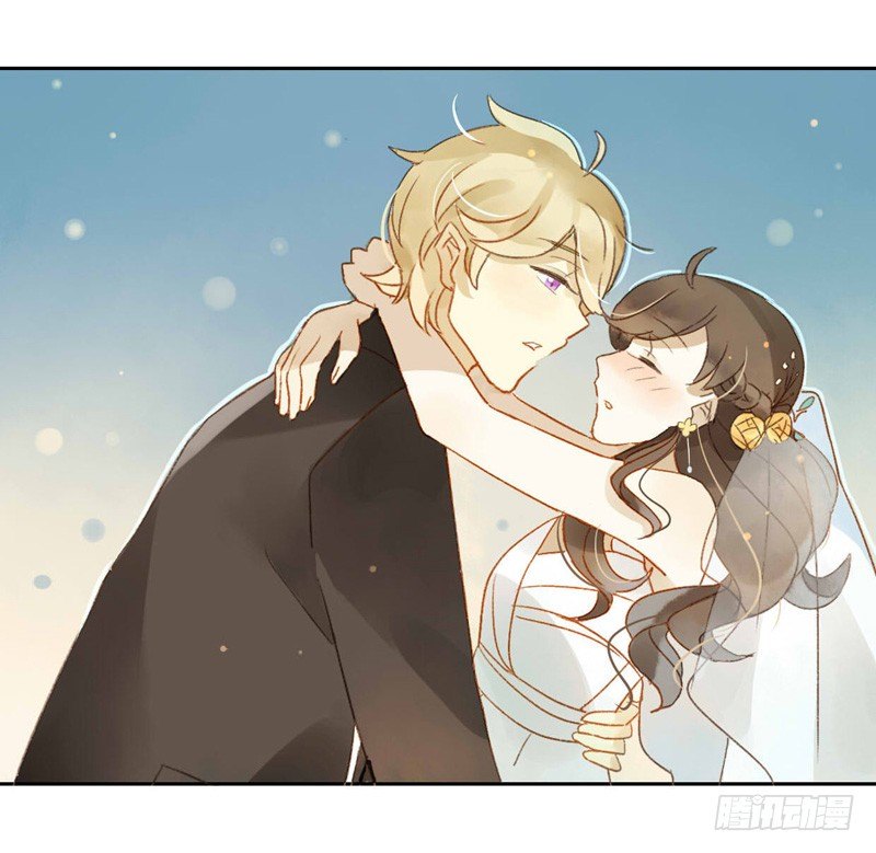 婚礼之后（下）-第66话