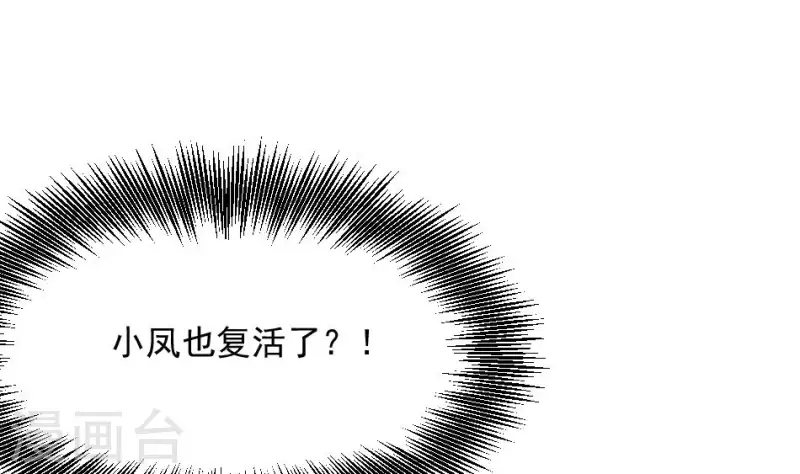 第8话 小凤复活(1/2)-第8话