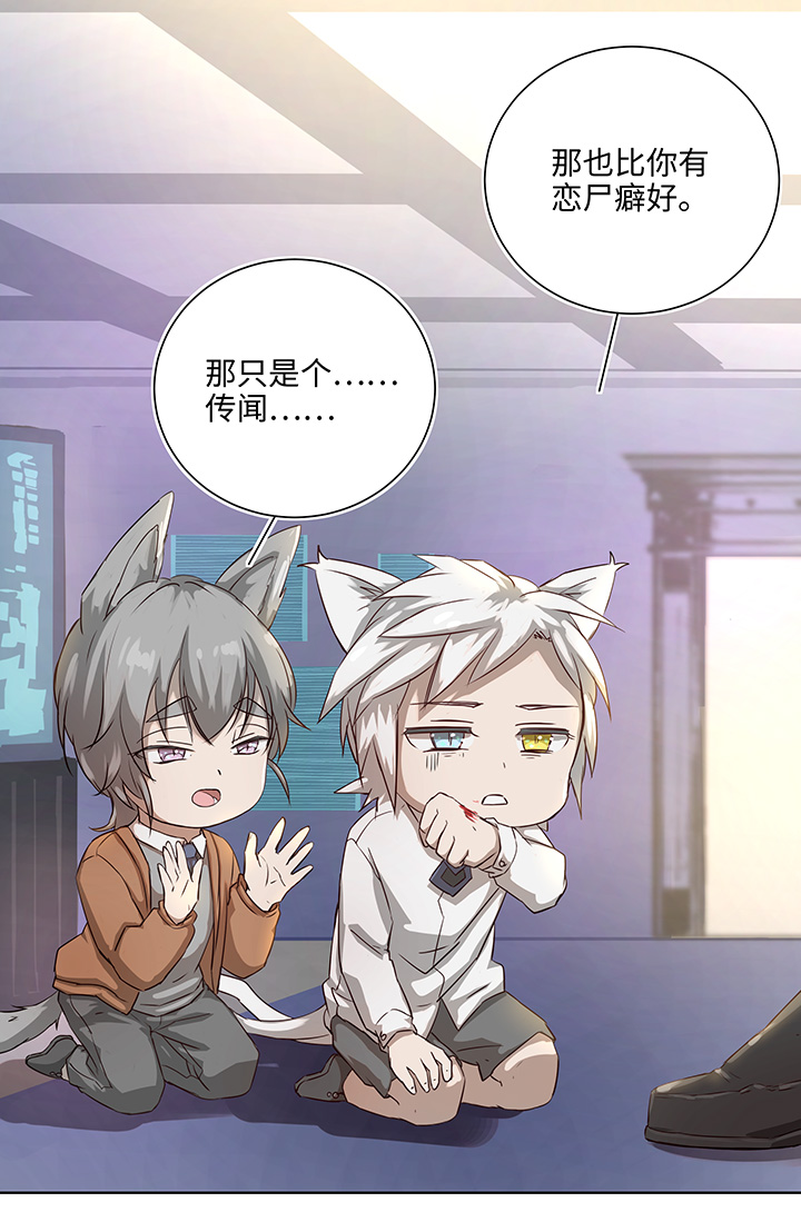 番外③ 泠珝与异色瞳狮子猫（下）-第110话