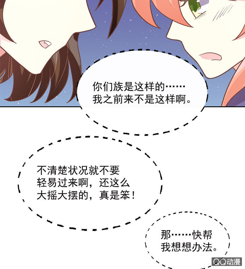 决心-第100话