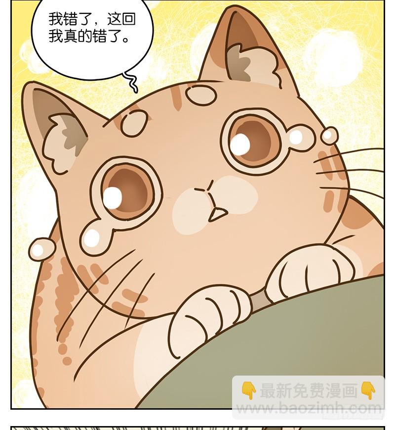 第39话 舐犊之情（三）(1/2)-第40话