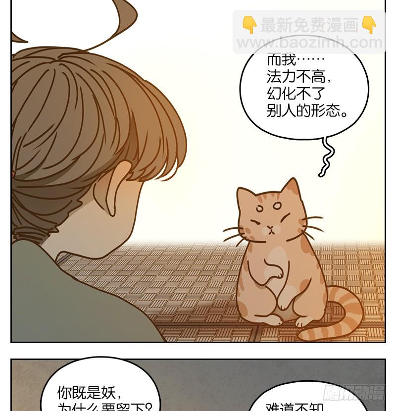 第41话 舐犊之情（五）-第42话
