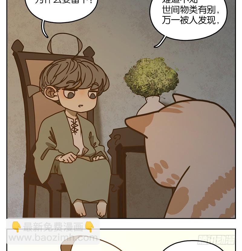 第41话 舐犊之情（五）-第42话