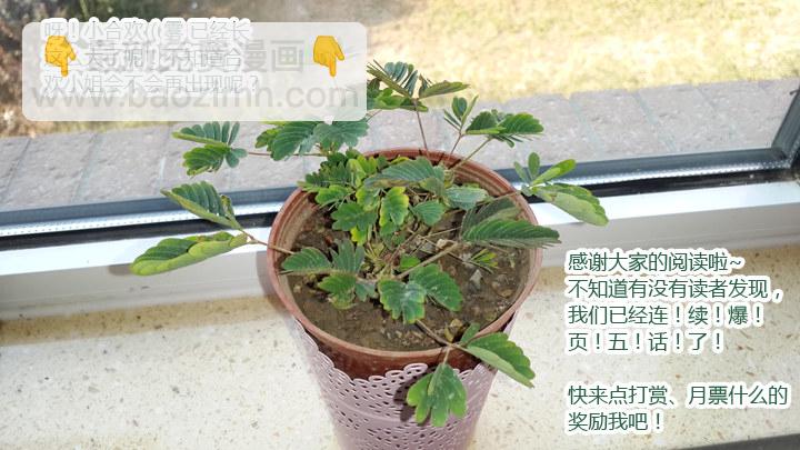🍜妖怪名单 44.当NPC头上亮起叹号 第12页