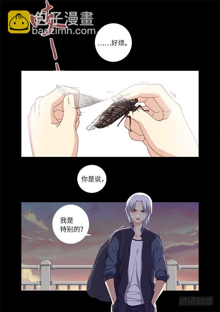 🍜妖怪名单 441.曾经 第8页