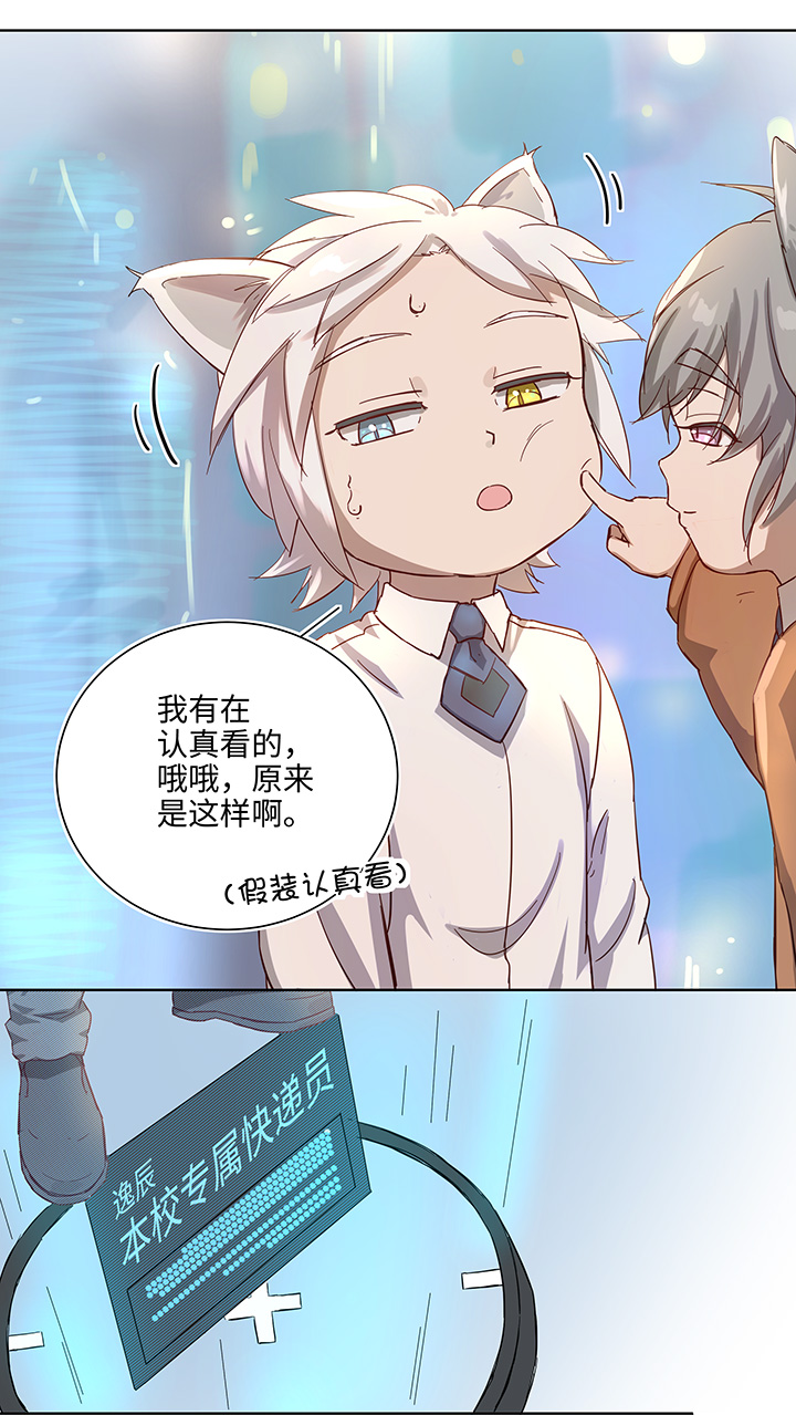 番外③ 泠珝与异色瞳狮子猫（上）-第110话