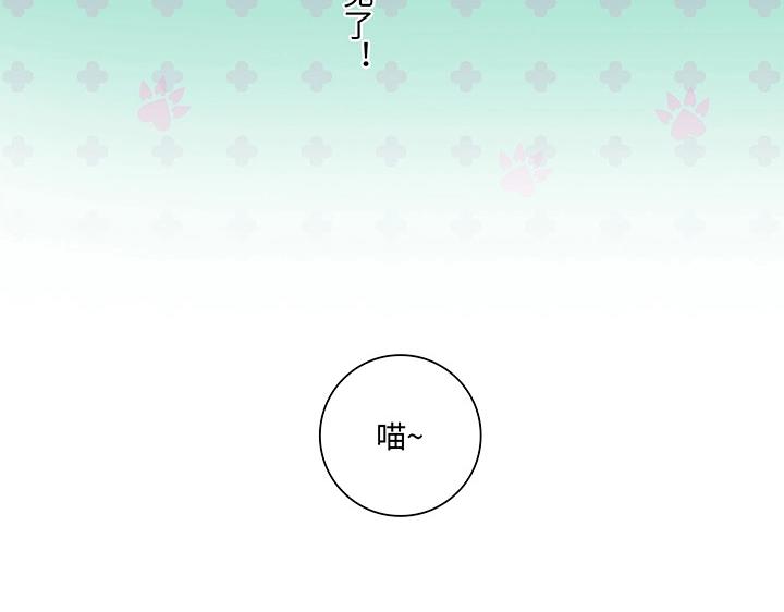 13 辰哥哥不见了！-第14话