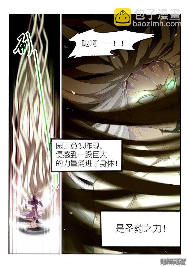 🍜妖精种植手册 216-跟白芷合体！ 第2页