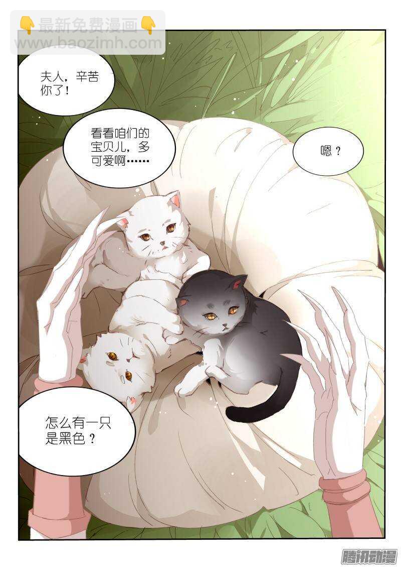 🍜妖精种植手册 234-黑猫 第2页