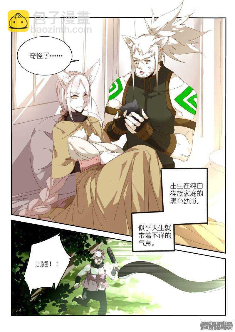🍜妖精种植手册 234-黑猫 第3页