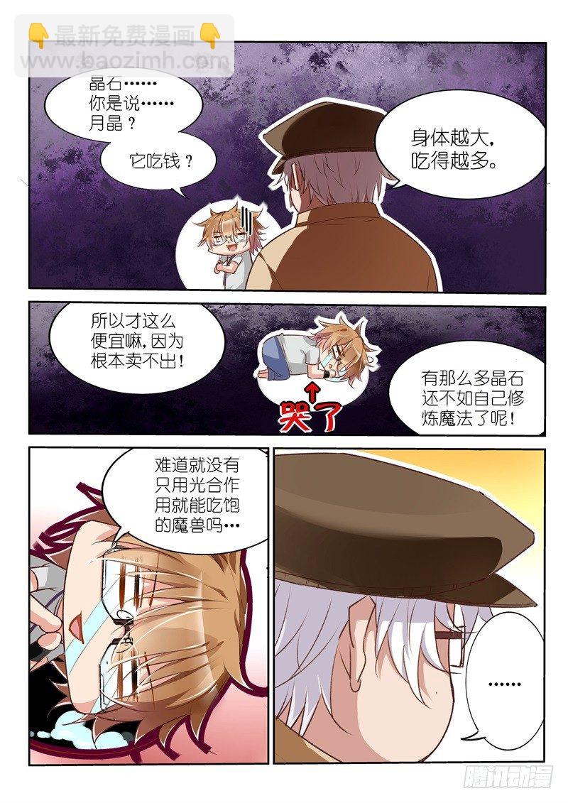 🍜妖精种植手册 04-妖精！就是妖精！ 第8页