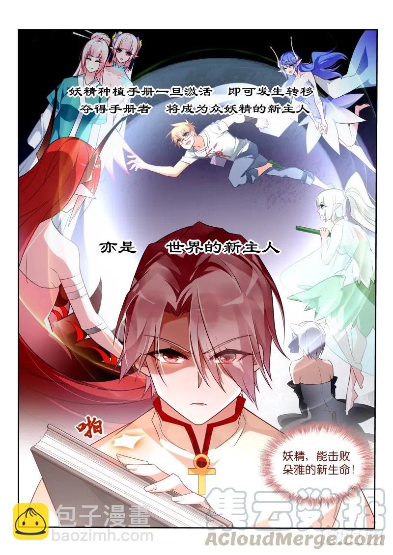 🍜妖精种植手册 347-批发妖精手册 第11页