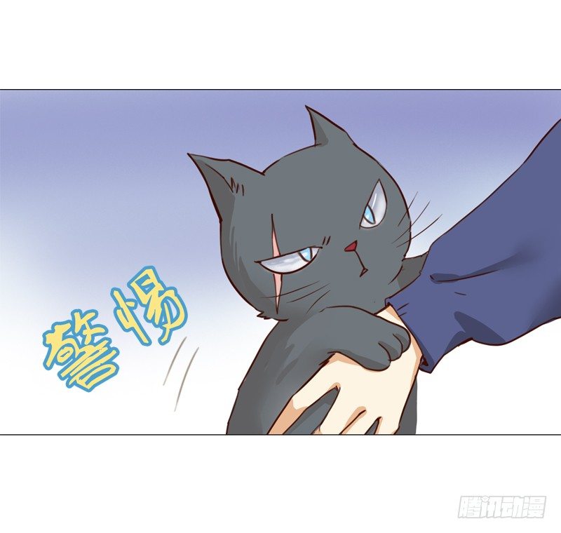 三话：我们认识吗？-第4话