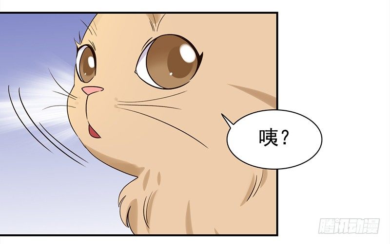 三十七话：夏冰冰(1/2)-第38话