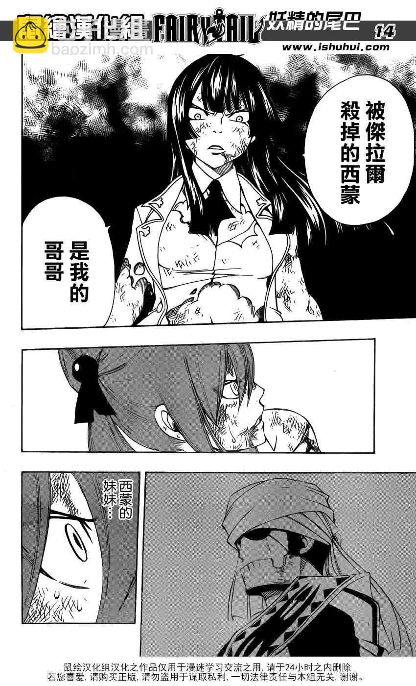 🍜妖精的尾巴 第314话 第14页