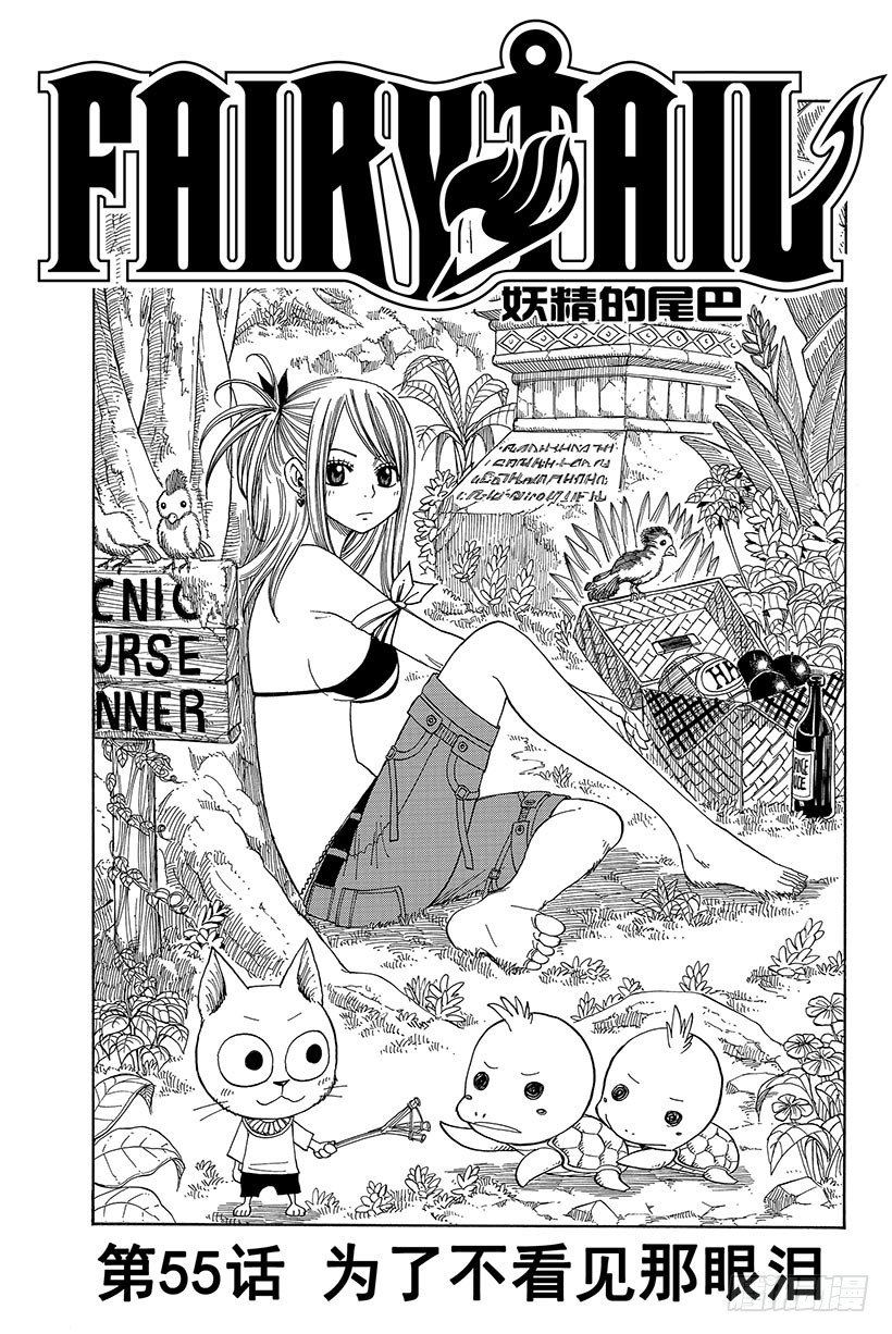🍜妖精的尾巴 第55话 为了不看见那眼泪 第2页