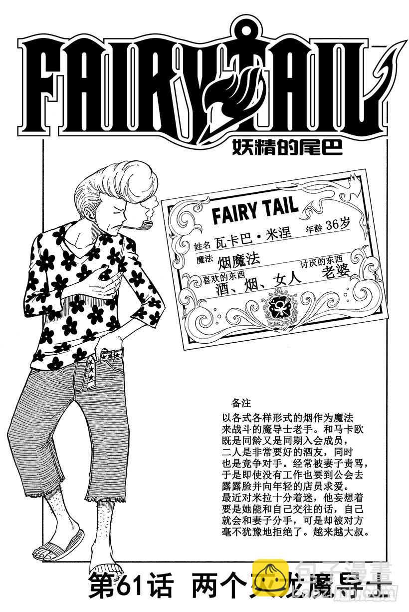 🍜妖精的尾巴 第61话 两个灭龙魔导士 第2页