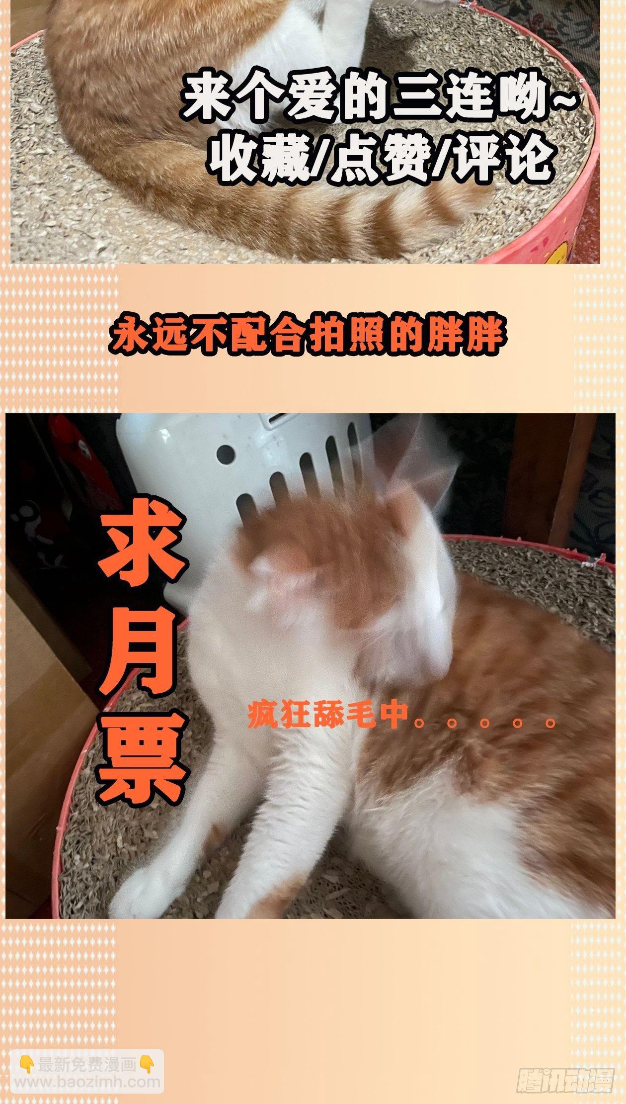 31.狐狸的报恩-第36话