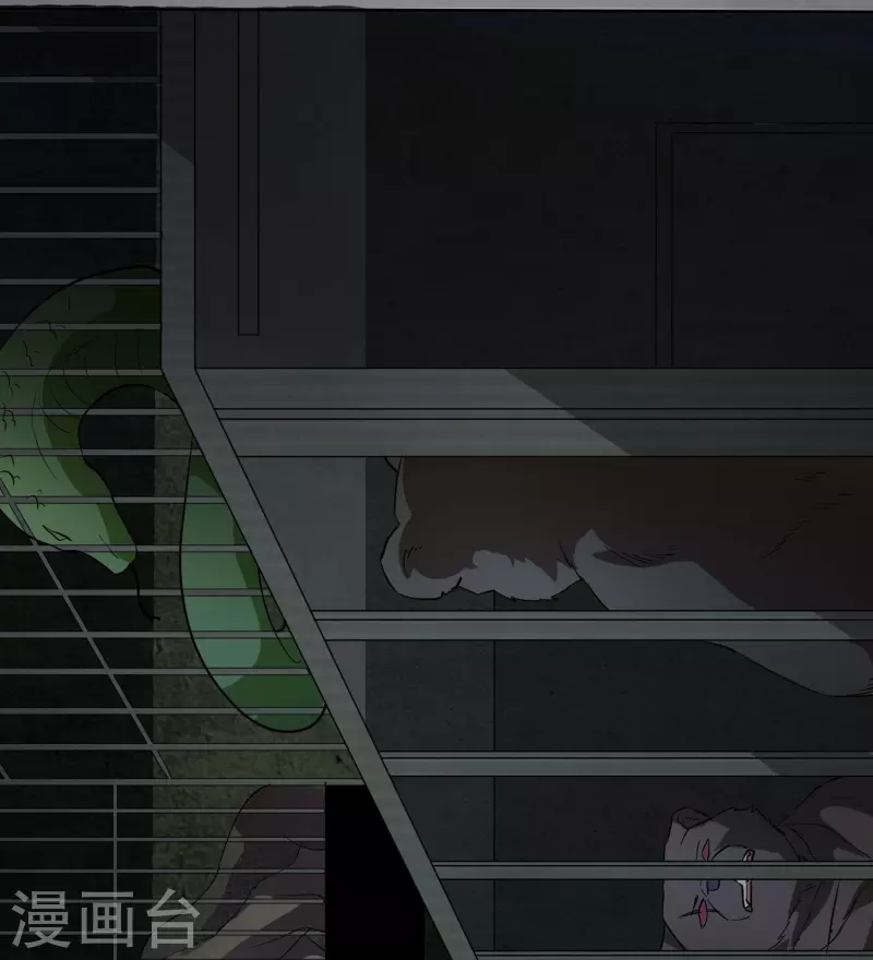 第13话 论如何正义地下药-第14话