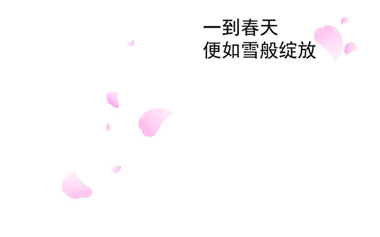 第1话 重逢大明星(1/3)-第2话