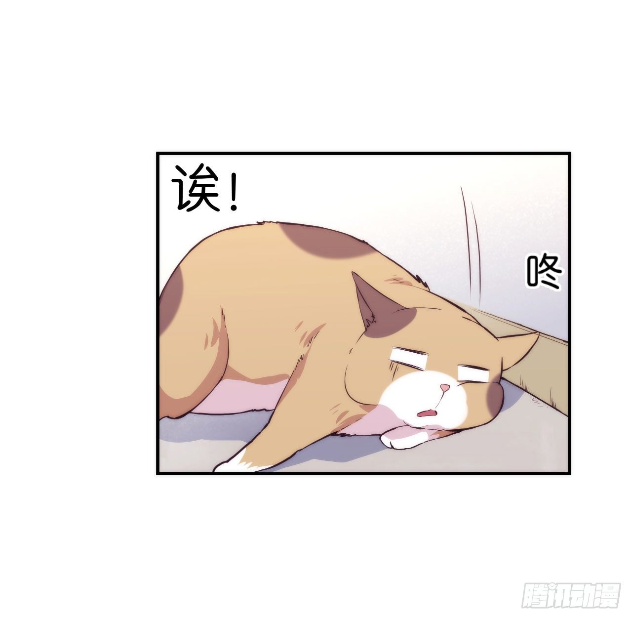 【第5话】猫的报恩-第6话