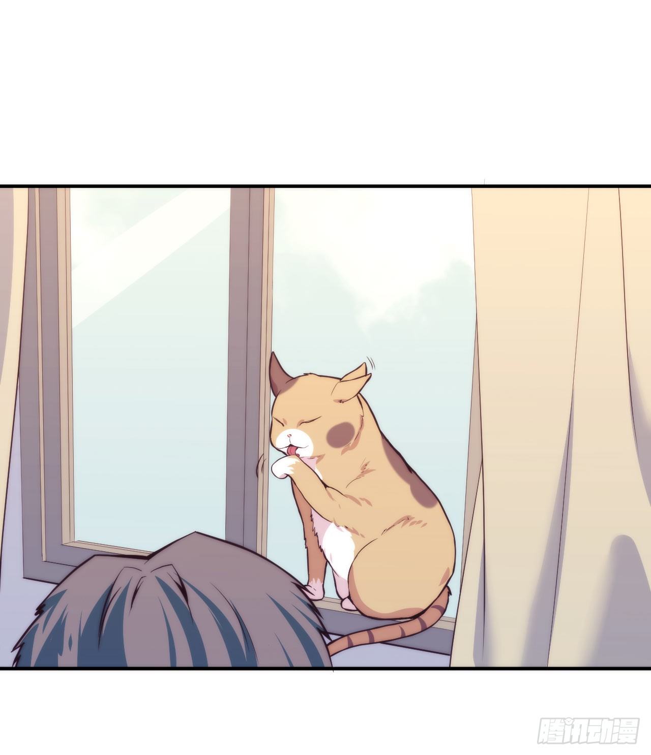 【第5话】猫的报恩-第6话