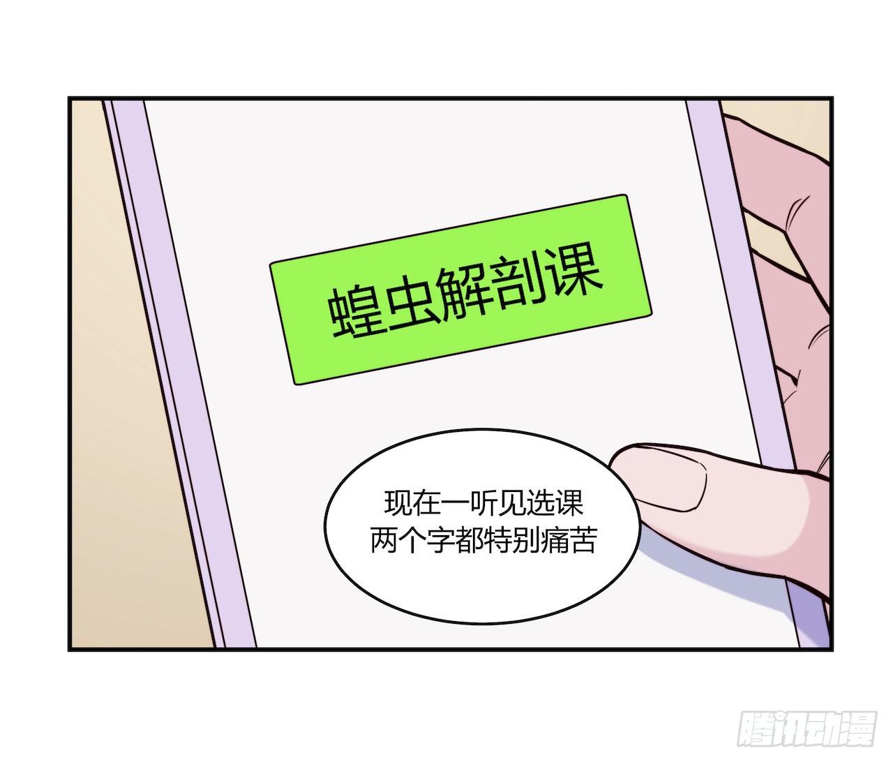 【第78话】选课-第100话