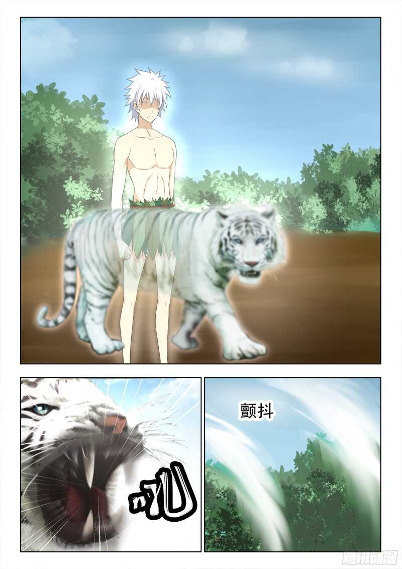 229 白虎神兽-第232话