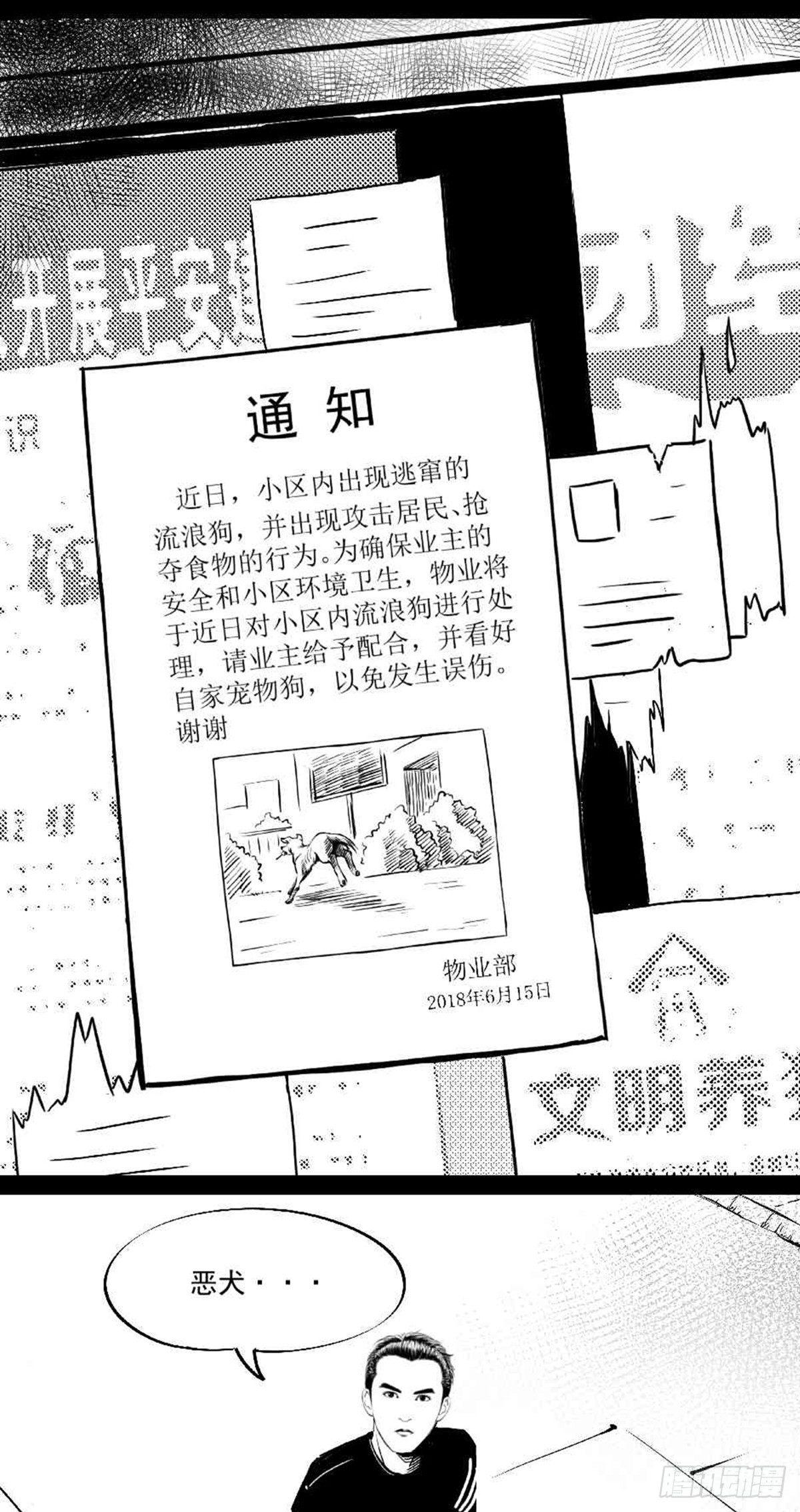 为抢根骨头我坐轮椅追了四条街(1/2)-第36话