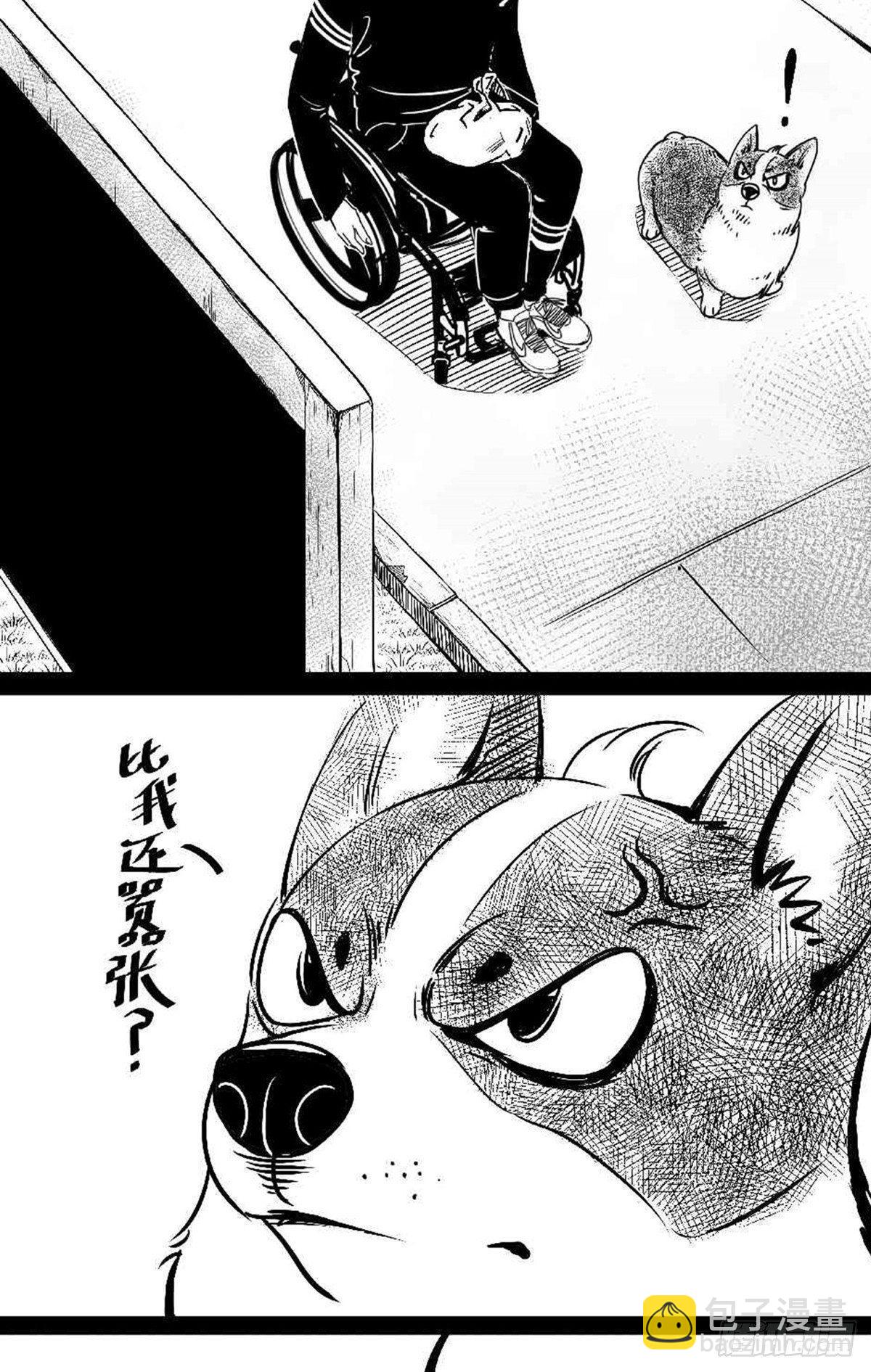 为抢根骨头我坐轮椅追了四条街(1/2)-第36话
