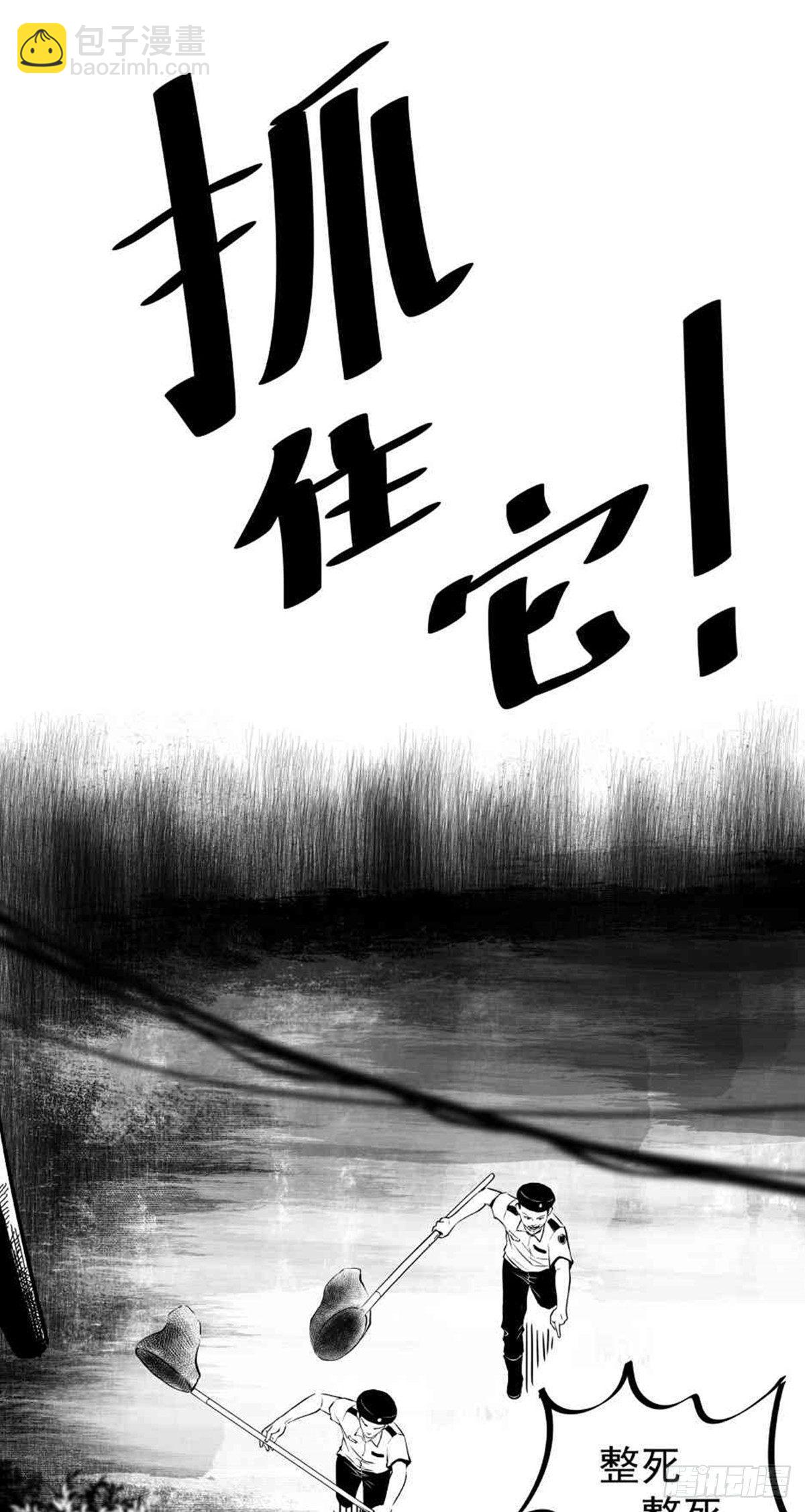 为抢根骨头我坐轮椅追了四条街(1/2)-第36话