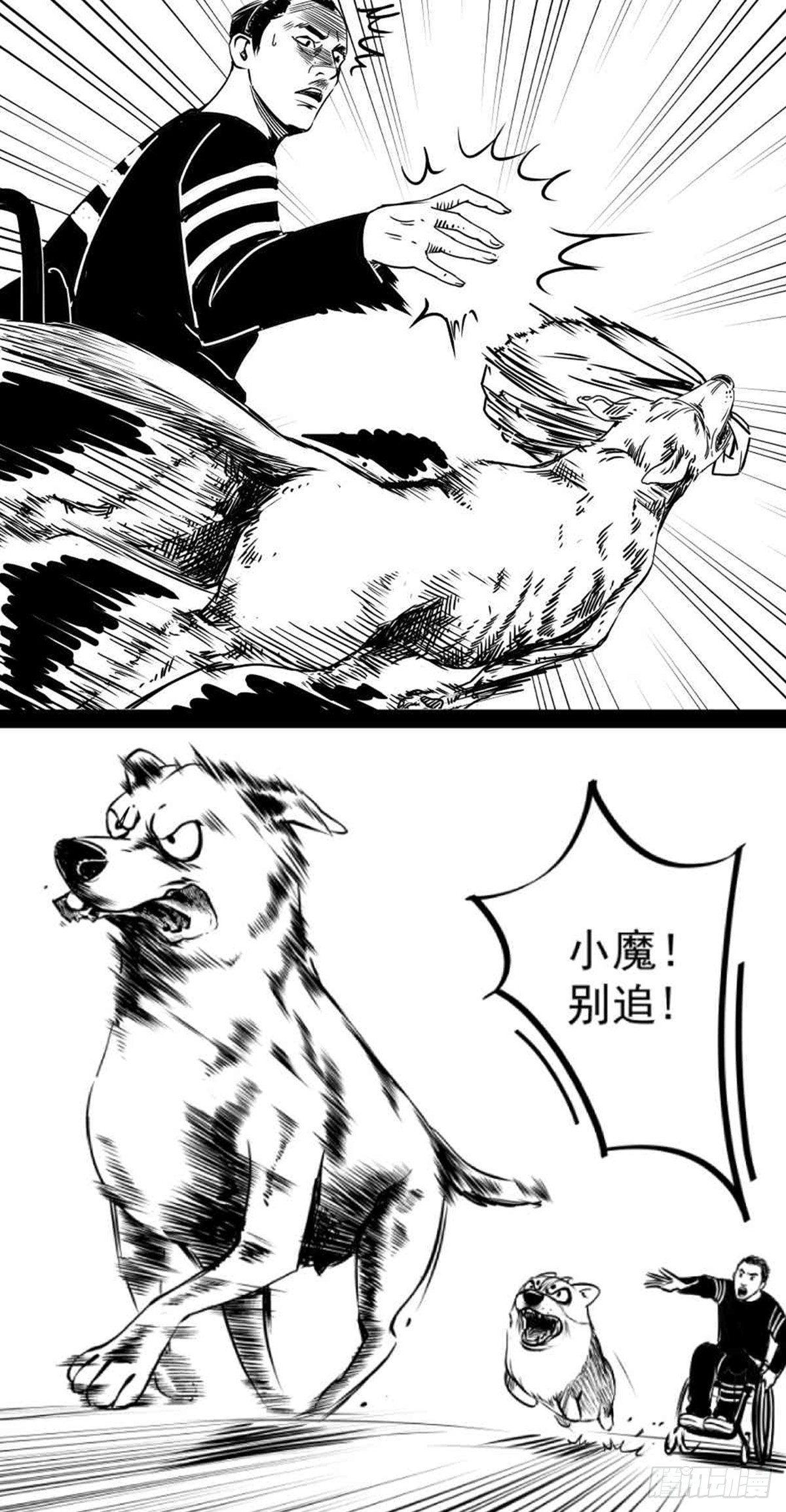为抢根骨头我坐轮椅追了四条街(1/2)-第36话