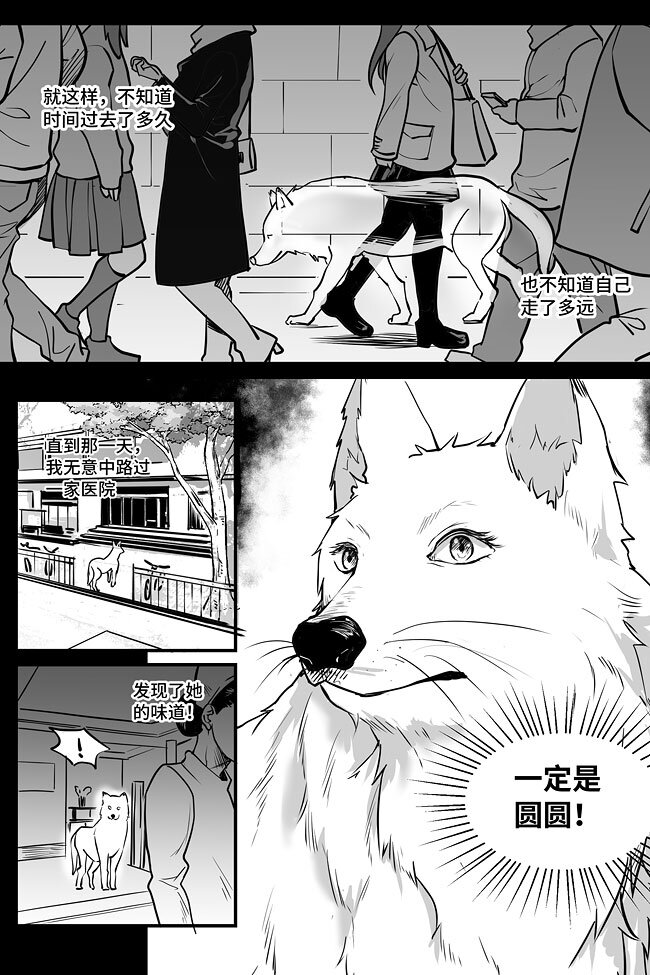 08 过往-第8话