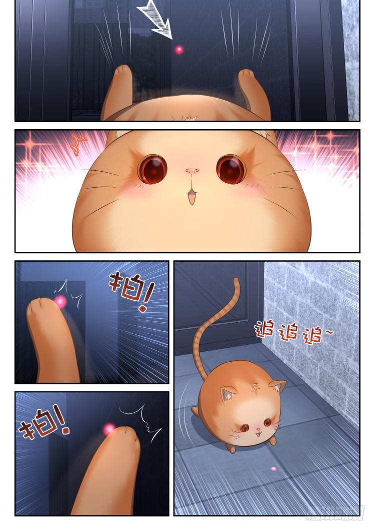 稳赢的赌约-第16话