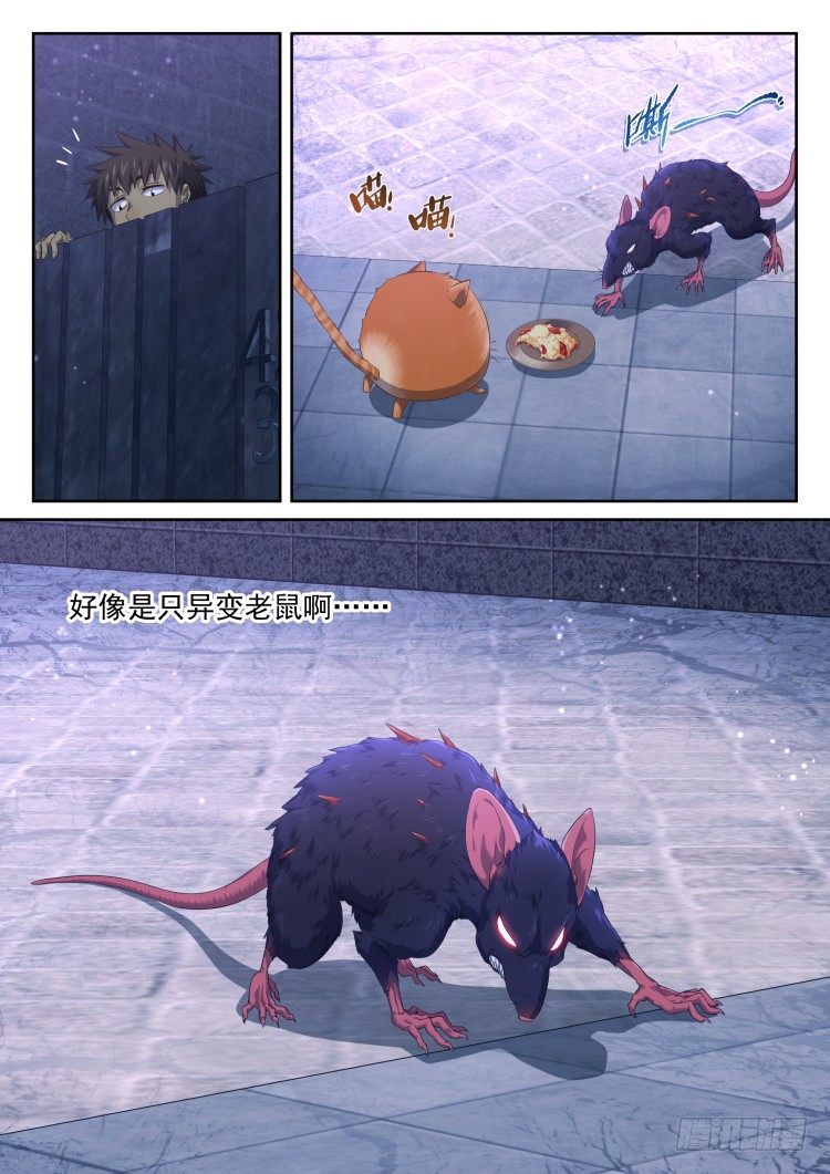 猫喜欢周秋实？-第30话