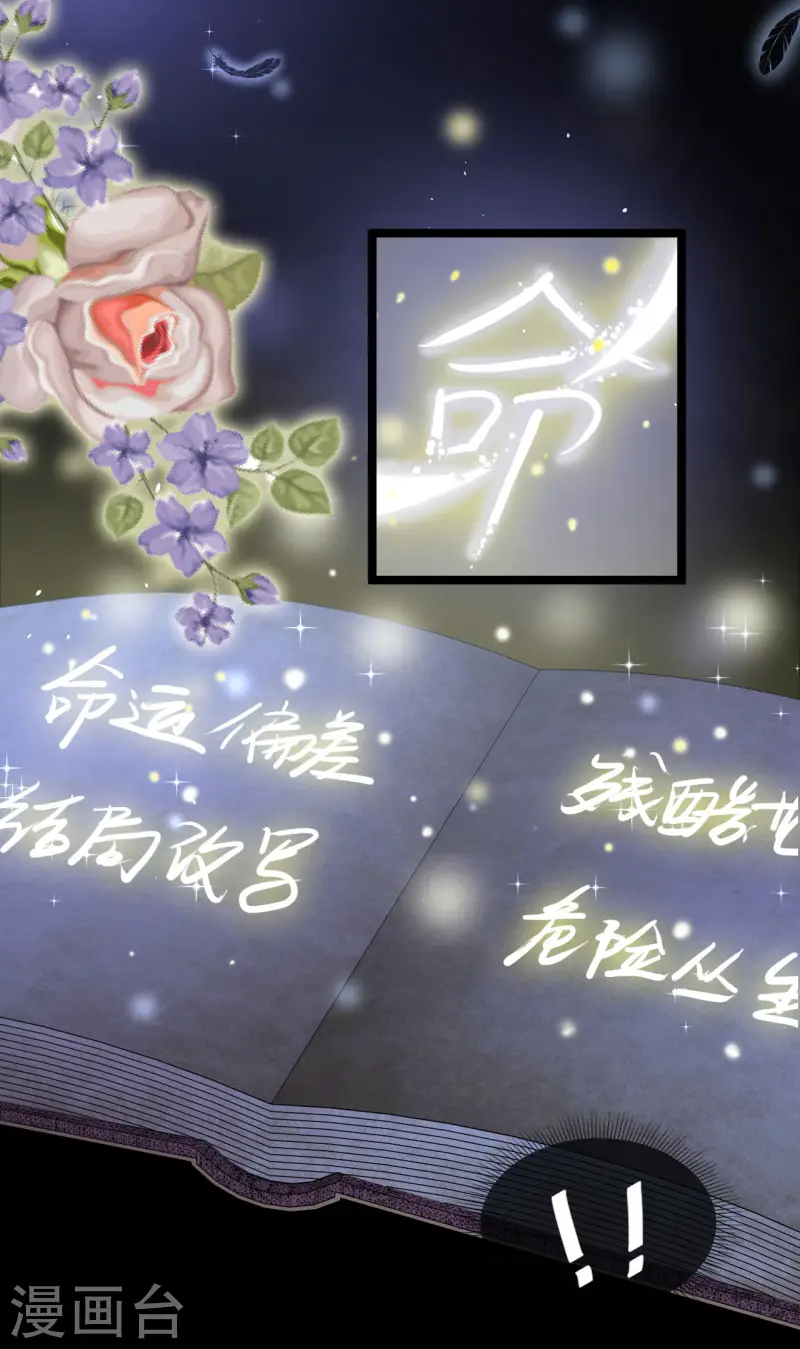 第37话 精灵之书-第38话