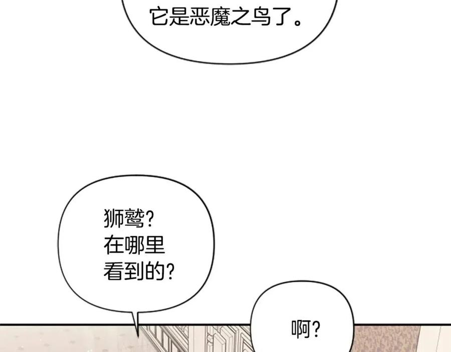 第38话 美丽狮鹫(1/3)-第38话