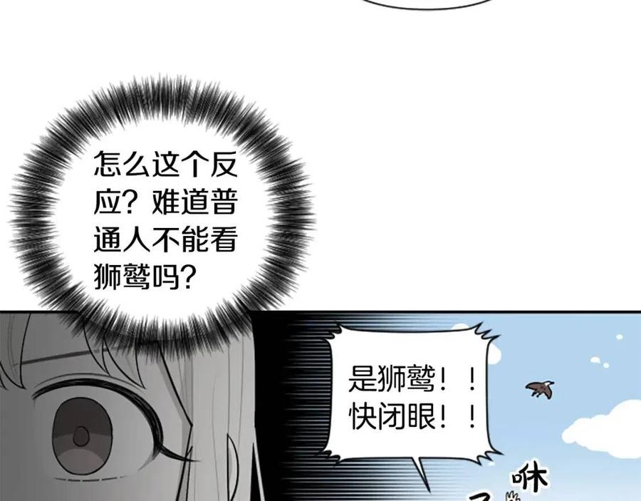 第38话 美丽狮鹫(1/3)-第38话