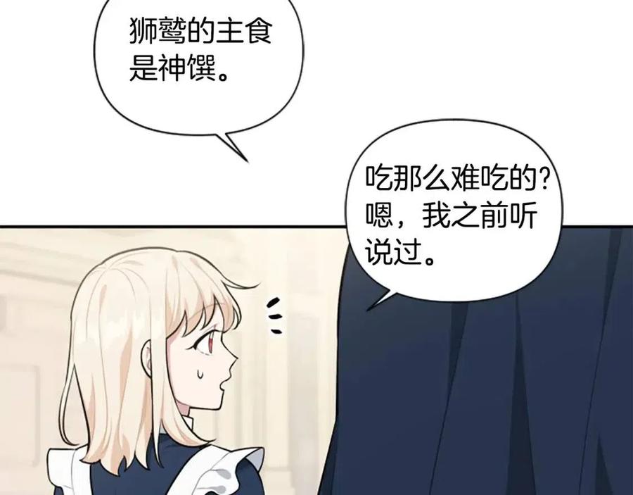 第38话 美丽狮鹫(1/3)-第38话