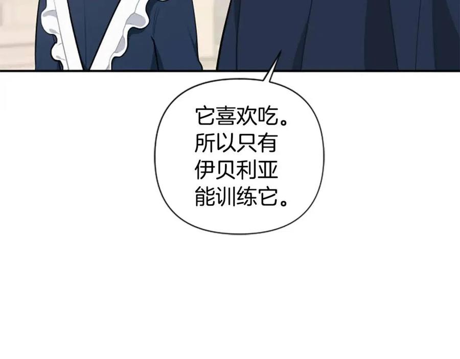 第38话 美丽狮鹫(1/3)-第38话