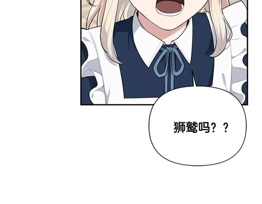 第38话 美丽狮鹫(1/3)-第38话