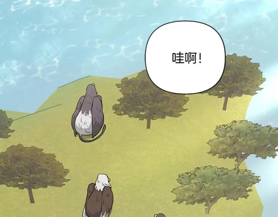 第38话 美丽狮鹫(1/3)-第38话