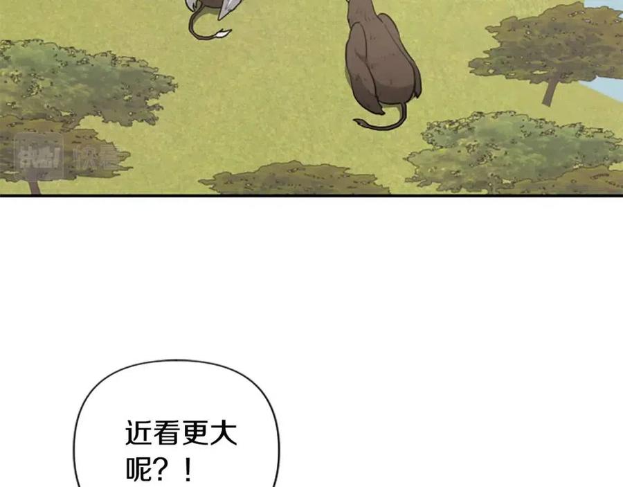 第38话 美丽狮鹫(1/3)-第38话