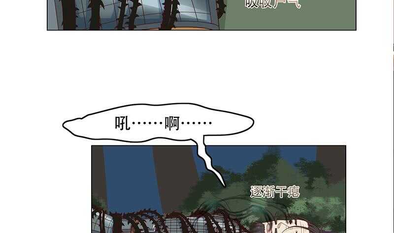 第244话 花川川的执念-第78话