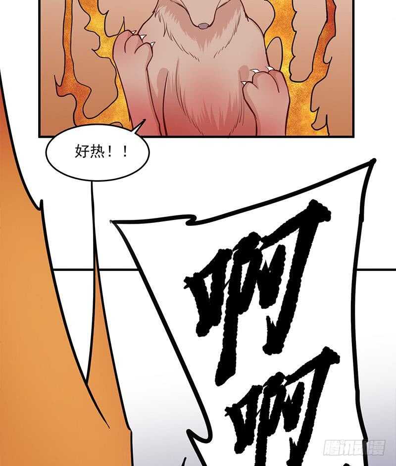 第256话 胡小毛进阶！(1/2)-第90话