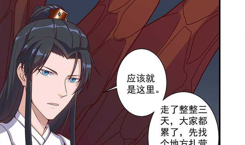 第305话 温情一刻(1/2)-第216话