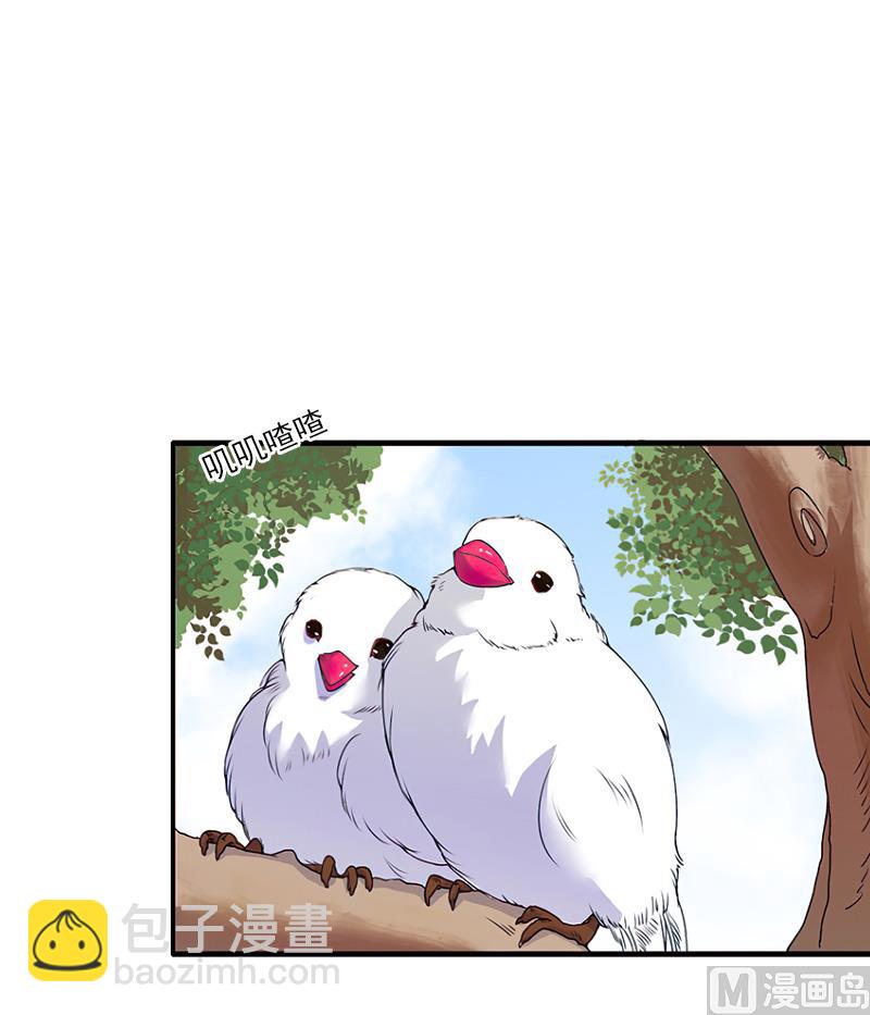 第38话 手术-第38话