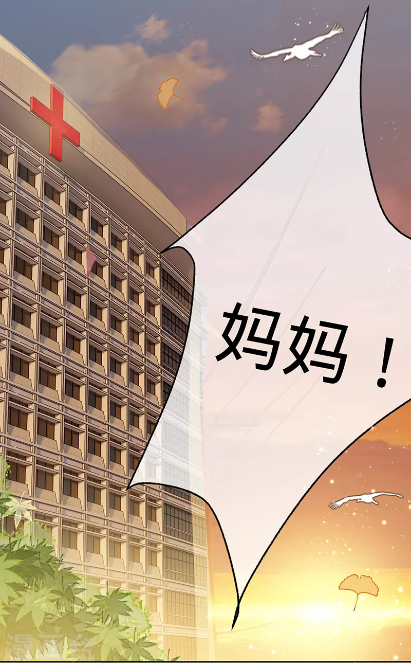 第131话 你不是叶家的孩子-第132话