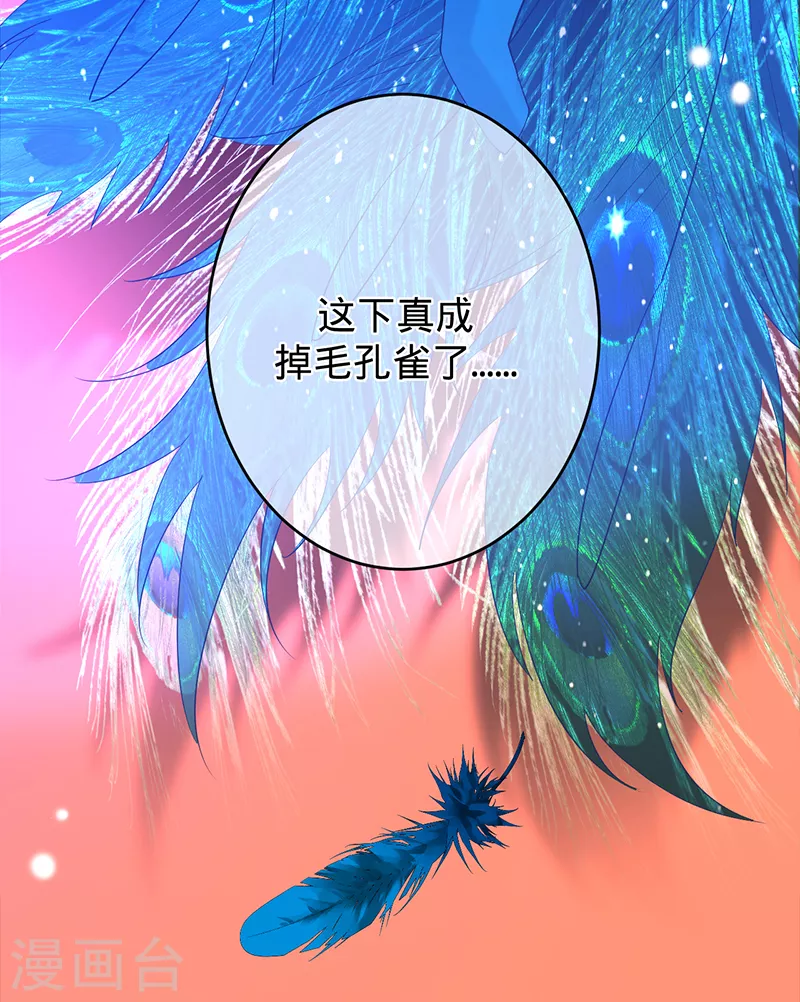 第51话 苍鹰归来-第52话