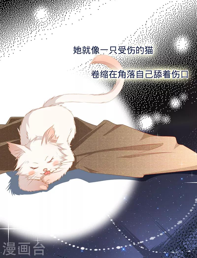 第9话 令人心疼的小猫咪-第10话